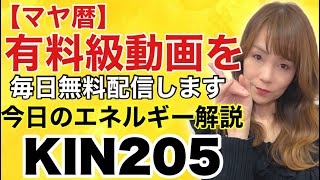 【マヤ暦】12月9日　今日のエネルギー解説　KIN205 　黄色い戦士、赤い蛇、波動数１０