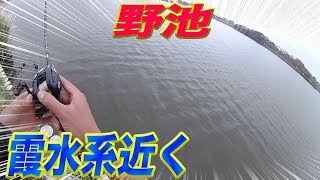 「霞水系近くの野池で釣りしてみた！！」#霞水系近くの#野池#バス釣り