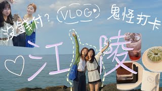 江陵vlog/海邊超美cafe/鬼怪打卡/BTS春日車站/差點回不到首爾？