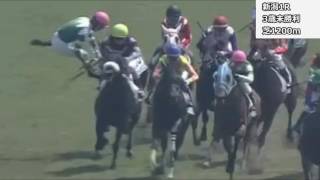 2017年5月20日・21日新潟競馬制裁事象【黛弘人騎乗停止】