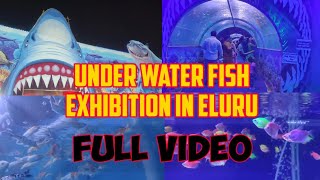 Fish exhibition in Eluru||Sanivarapupeta||Fish||Eluru