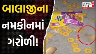 Kutch : Lizard in Balaji's Namkeen! | Gujarat First