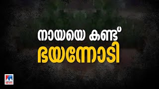 നായയെ കണ്ട് ഭയന്നോടി കിണറ്റില്‍ വീണു; ഒന്‍പത് വയസുകാരന് ദാരുണാന്ത്യം | Kannur | Child