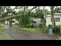 Fallen tree damages Bradenton mobile home