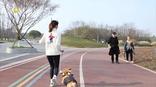 Have you ever seen such smart greenways?