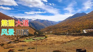 4K Walking Tour中国熊猫大道沿途风景川西环线