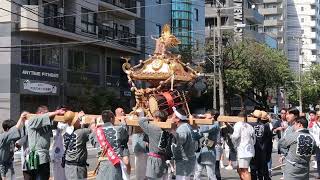 天祖諏訪神社例大祭　鈴ヶ森町会の神輿　桜新道を渡御　の巻　#天祖諏訪神社例大祭　#天祖諏訪神社　#鈴ヶ森　#神輿　#祭り