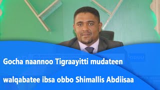 Gocha naannoo Tigraayitti mudateen walqabatee ibsa obbo Shimallis Abdiisaa kennan