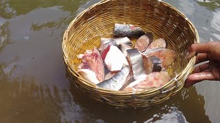 How to cut and clean Pangas Tangra at Home |Pakos Tangra Fish Cutting Video |