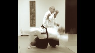 Aikido with Robert Mustard Shihan