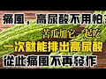 痛风患者必看：苦瓜的超强功效！ No More Gout Worries! Bitter Melon + This Combo! 痛风不再愁！苦瓜+它的神奇组合