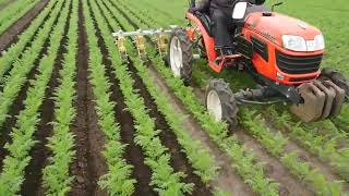 【キュウホー　ASHORAGRI】北海道にんじん中耕(乗用管理機)　weeding machine（carrot）