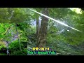 みちのくひとり旅★奥入瀬渓流★双竜の滝★岩菅の滝★雲井の滝・oirase stream★soryu falls★iwasuge falls★kumoi falls・ michinoku