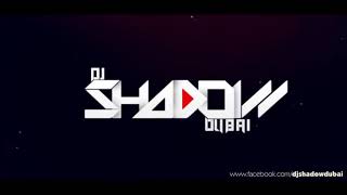 High Rated Gabru | Remix | Guru Randhawa | DJ Shadow Dubai | AIDC Record Level