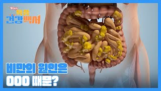 비만의 예방과 치료를 위해선 비만의 원인을 찾아야 한다! MBN 230319 방송