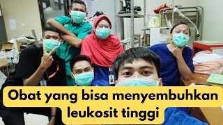 penyembuh leukosit tinggi