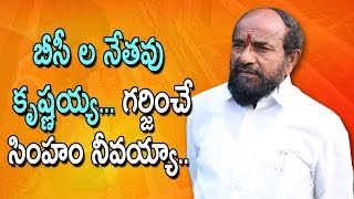 బీసీ ల నేతవు కృష్ణయ్య.. గర్జించే సింహం నీవయ్యా..  || R krishnaiah Song || Ryaga krishnaiah