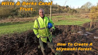 How To Create A Miyawaki Forest