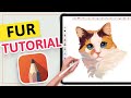 I Made Realistic Fur in Autodesk Sketchbook! – 5 Min Autodesk Sketchbook Tutorial