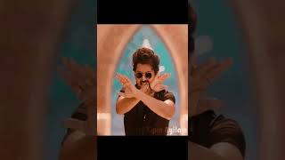 தளபதி விஜய் தாலிகட்டிய பெண் இவர்தானா !!