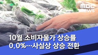 10월 소비자물가 상승률 0 0%…사실상 상승 전환  (2019.11.01/5MBC뉴스)