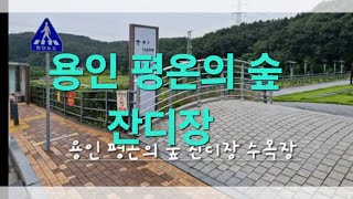 용인 평온의 숲  잔디장 수목장  시립 장 저렴합니다