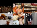 FALL VLOG:Trader Joes haul, opening up about some things, work day + current fav high protein meal