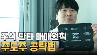 12월 4주차 대장주 매매 관점 공개 [대왕개미 홍인기]