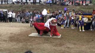 愛媛県南宇和郡愛南町城辺秋祭り中組（唐獅子）