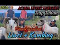 ACARA LIWET LIWETAN TIAP TAHUN PEMUDA PUNCAK SARI | LIWET + KAMBING