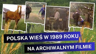 Wieś Polska w 1989 roku na archiwalnym filmie / Historia Polski