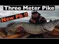 Three Meter Pike in one session - NEW PB!