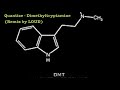 quantize dimethyltryptamine loud remix