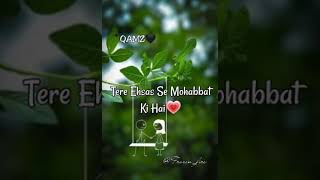 Tere Naam Se Mohabbat Ki Hai | Urdu Poetry | WhatsApp status video
