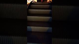 escalator Rolltreppe dönermerdiven Munich City Subway Station #youtube #shorts #escalator #germany