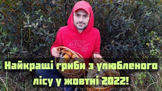 Шукаємо найкращі дари лісу в улюблених місцях разом з родиною! 13.10.2022.