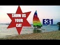 Show Us Your Cat! Episode 31   USA, Mozambique and Canada