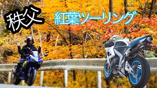 秩父紅葉ツーリング 【夫婦ライダー】