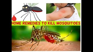 NATURAL WAYS TO KILL MOSQUITOES / HOME REMEDY / കൊതുകിനെ ഓടിക്കാൻ ഇതിലും എളുപ്പവഴി വേറെഇല്ല /Iconic