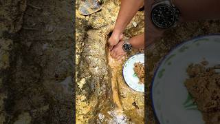 Wow.., Shocked the world 😱‼️Amazing gold discovery in the scary river. #goldprospecting #goldrush