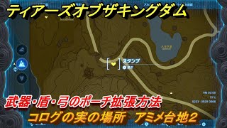 ティアキン　コログの実の場所　アミメ台地２　武器・盾・弓のポーチ拡張方法　＃９５９　【ゼルダの伝説ティアーズオブザキングダム】