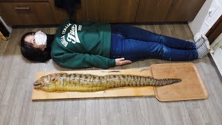 【WASHOKU】Catch and eat sea monsters