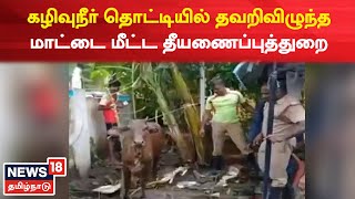 Avadi | கழிவுநீர் தொட்டியில் தவறிவிழுந்த மாட்டை மீட்ட தீயணைப்புத்துறை வீரர்கள் | Tamil News