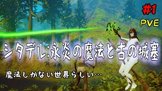 #1 シタデル 永炎の魔法と古の城塞 魔法しかない世界らしいよ… 【2人実況】【2人協力プレイ】【PS4】シタデル 1回目