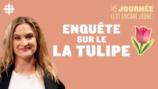 Fermeture du La Tulipe : l'enquête de Gabrielle Côté | La journée (est encore jeune)