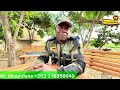 A VISIT TO MR MBAMBAIRA’S FARM