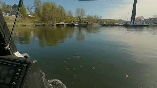 Sherping in Picton harbour - Sherp makes smooth exit