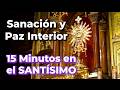 Oración de SANACIÓN y CURACIÓN Divina ante el SANTÍSIMO | Alimento de Fe, 15 Minutos en el Santísimo