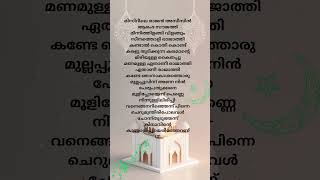 🎶Misirile Rajan Song 🩷💜🦋ലിറിക് 🎶 #shorts #lyrics #malayalam #trending#viral #shortsfeed