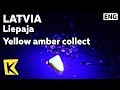 【K】Latvia Travel-Liepaja[라트비아 여행-리예파야]호박석 채취/Yellow amber/Collect/Jewelry/Collector